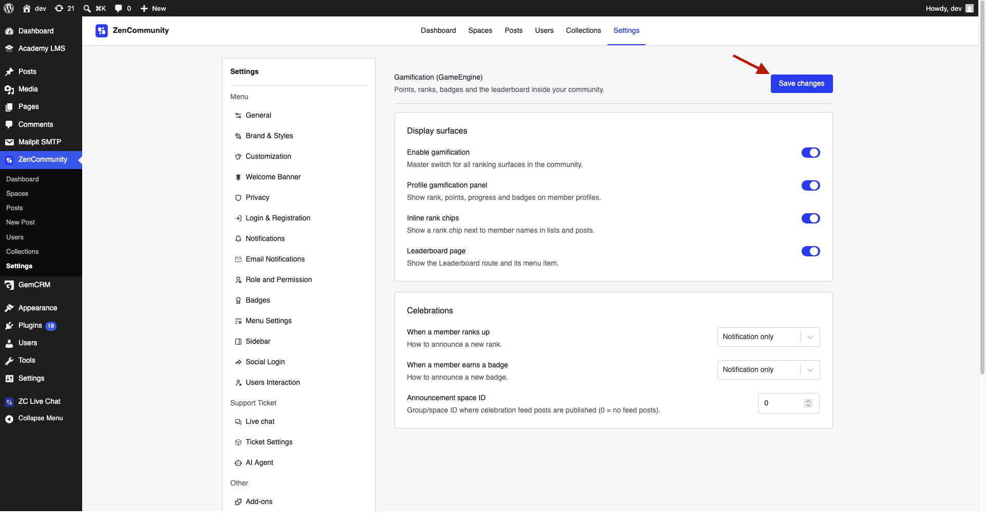  Settings page with a highlighted Save Changes button.